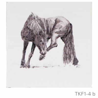 TKF1-4b-beschilderd-friese-witjes