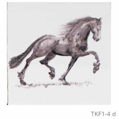 TKF1-4d-beschilderd-friese-witjes