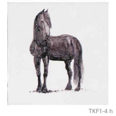 TKF1-4h-beschilderd-friese-witjes