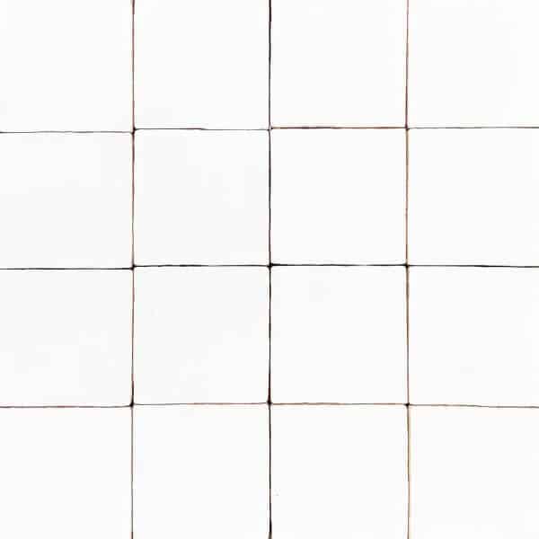 Spaanse-witjes-001-productfoto-001
