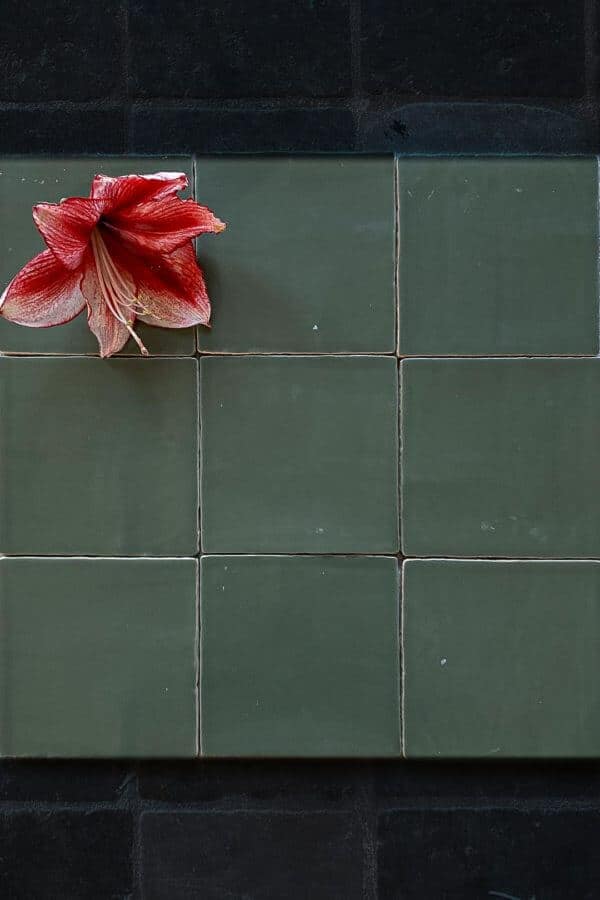 Detailfoto van de Spaanse witjes in de kleurstelling Navy Green
