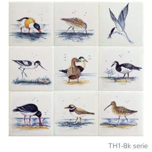 Waddenvogels kleur